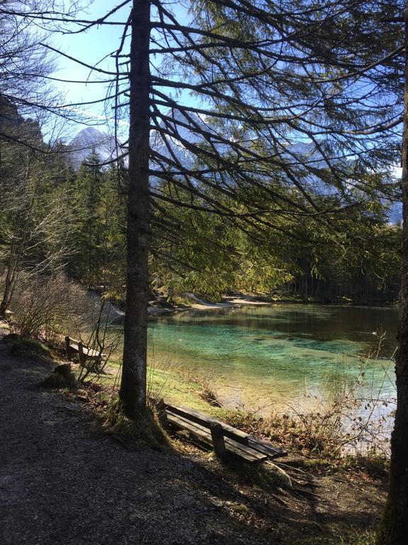 Pension Kasbergblick Scharnstein Eksteriør billede