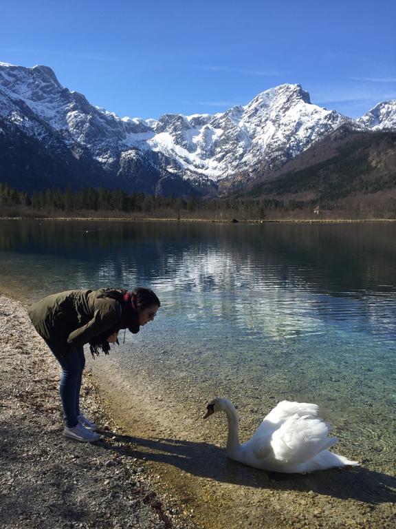 Pension Kasbergblick Scharnstein Eksteriør billede