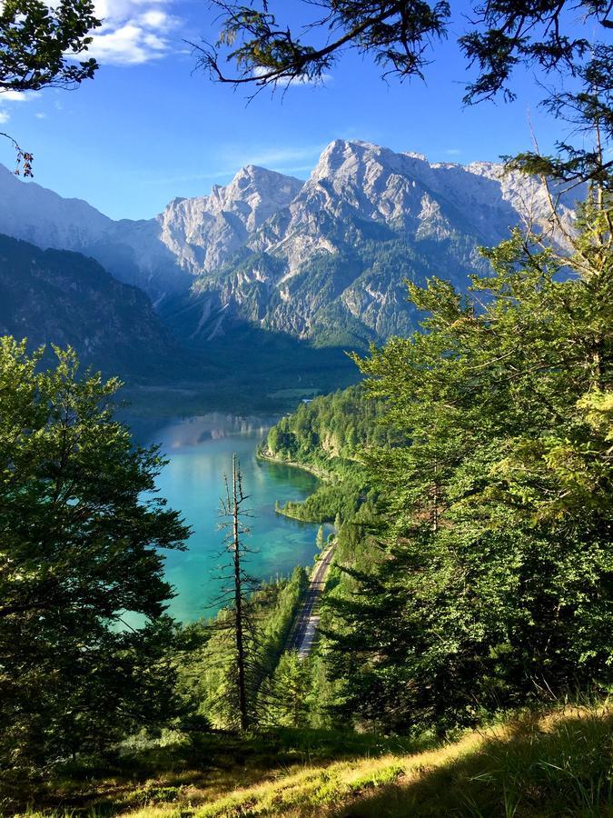 Pension Kasbergblick Scharnstein Eksteriør billede